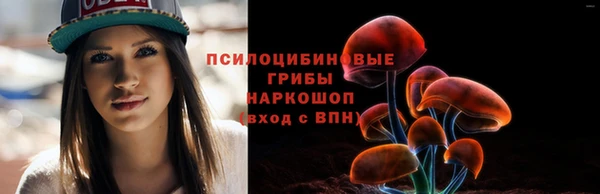 крисы Аркадак