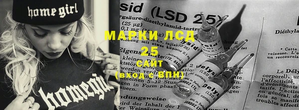 крисы Аркадак