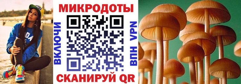 Галлюциногенные грибы мухоморы  купить наркотик  Тара 